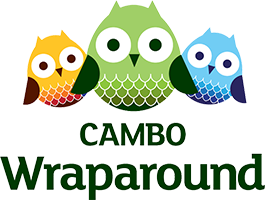 Cambo Wraparound